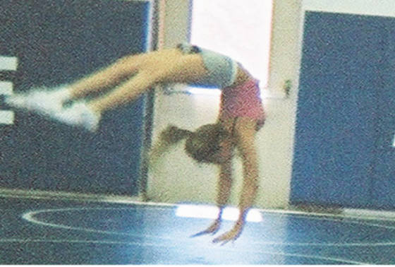 layne_handspring.jpg